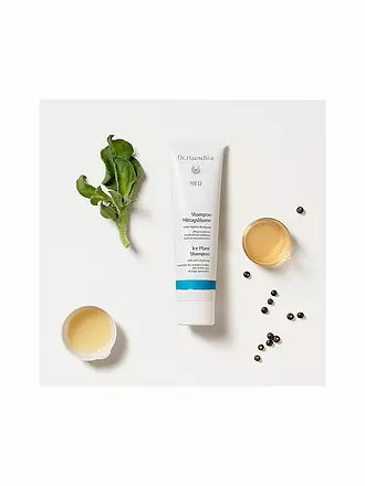 DR. HAUSCHKA | Haarpflege - Shampoo Mittagsblume 150ml | 